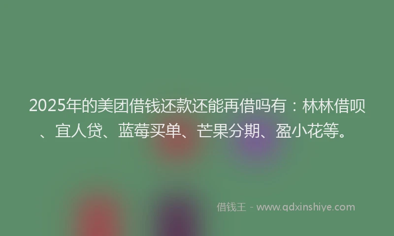 2025年的美团借钱还款还能再借吗有：林林借呗、宜人贷、蓝莓买单、芒果分期、盈小花等。