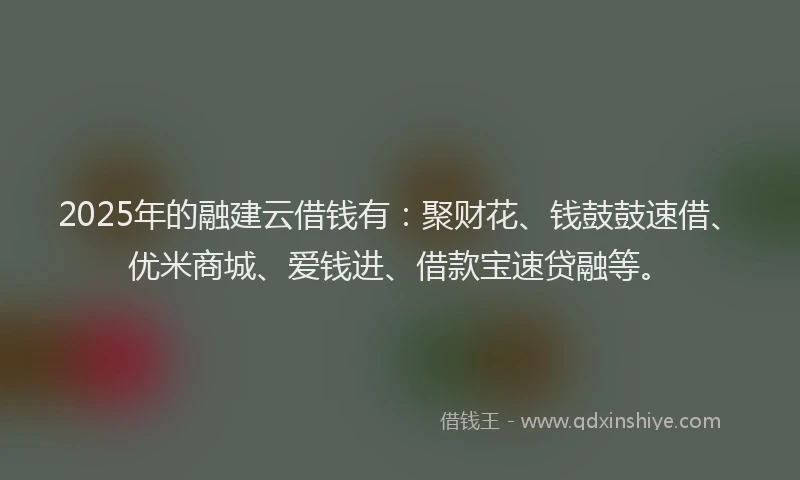 2025年的融建云借钱有：聚财花、钱鼓鼓速借、优米商城、爱钱进、借款宝速贷融等。