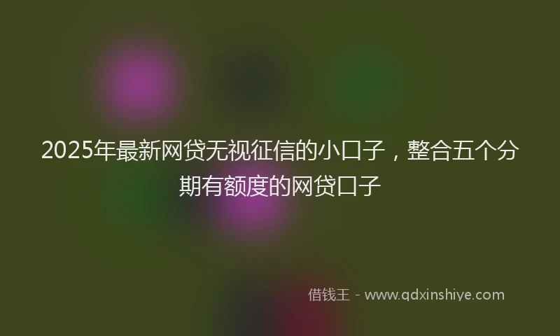 2025年最新网贷无视征信的小口子，整合五个分期有额度的网贷口子