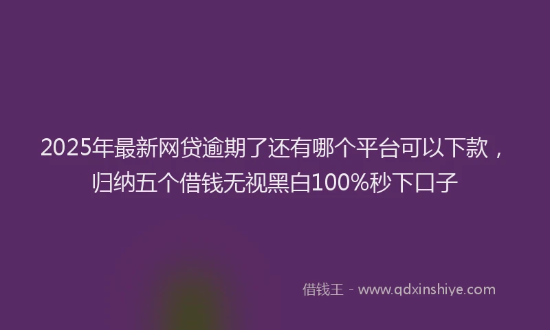 2025年最新网贷逾期了还有哪个平台可以下款，归纳五个借钱无视黑白100%秒下口子