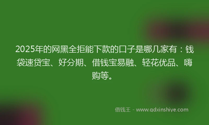 2025年的网黑全拒能下款的口子是哪几家有：钱袋速贷宝、好分期、借钱宝易融、轻花优品、嗨购等。