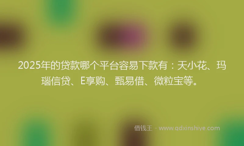 2025年的贷款哪个平台容易下款有：天小花、玛瑙信贷、E享购、甄易借、微粒宝等。