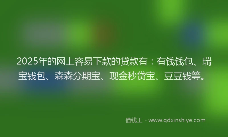 2025年的网上容易下款的贷款有：有钱钱包、瑞宝钱包、森森分期宝、现金秒贷宝、豆豆钱等。