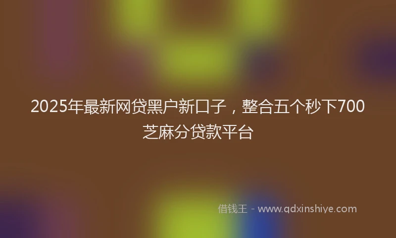 2025年最新网贷黑户新口子，整合五个秒下700芝麻分贷款平台