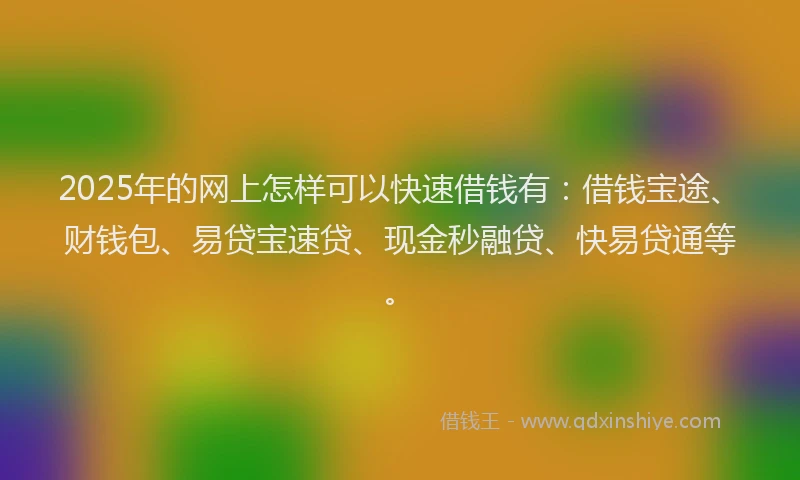 2025年的网上怎样可以快速借钱有：借钱宝途、财钱包、易贷宝速贷、现金秒融贷、快易贷通等。