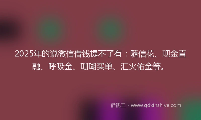 2025年的说微信借钱提不了有：随信花、现金直融、呼吸金、珊瑚买单、汇火佑金等。
