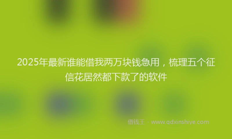 2025年最新谁能借我两万块钱急用，梳理五个征信花居然都下款了的软件