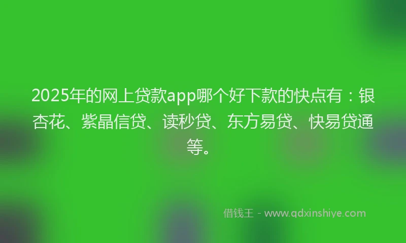 2025年的网上贷款app哪个好下款的快点有：银杏花、紫晶信贷、读秒贷、东方易贷、快易贷通等。