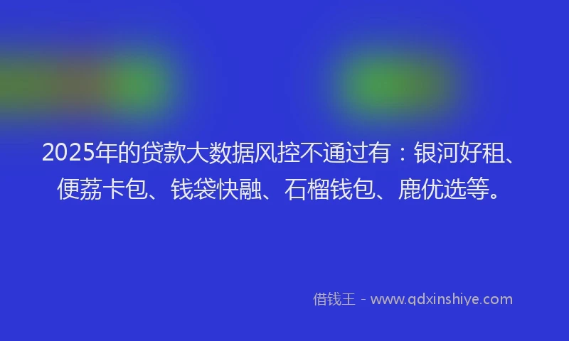 2025年的贷款大数据风控不通过有：银河好租、便荔卡包、钱袋快融、石榴钱包、鹿优选等。