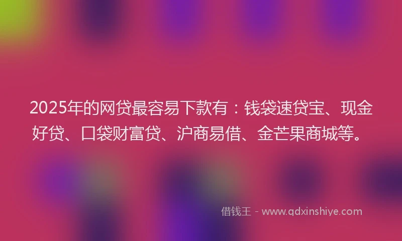 2025年的网贷最容易下款有：钱袋速贷宝、现金好贷、口袋财富贷、沪商易借、金芒果商城等。