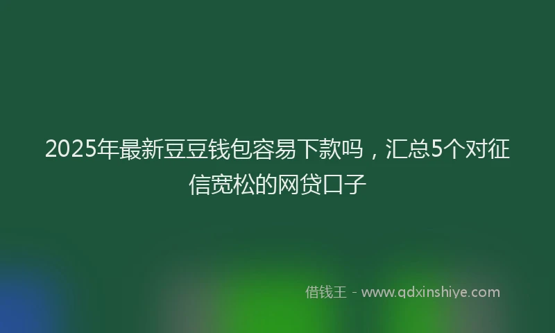 2025年最新豆豆钱包容易下款吗，汇总5个对征信宽松的网贷口子