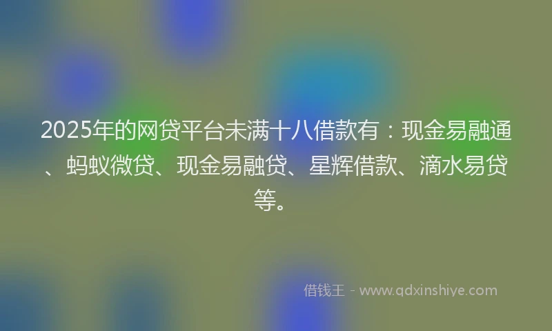 2025年的网贷平台未满十八借款有：现金易融通、蚂蚁微贷、现金易融贷、星辉借款、滴水易贷等。