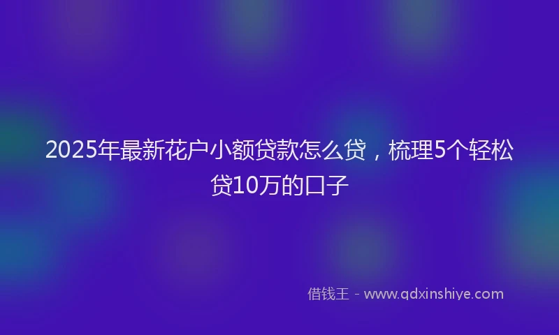 2025年最新花户小额贷款怎么贷，梳理5个轻松贷10万的口子