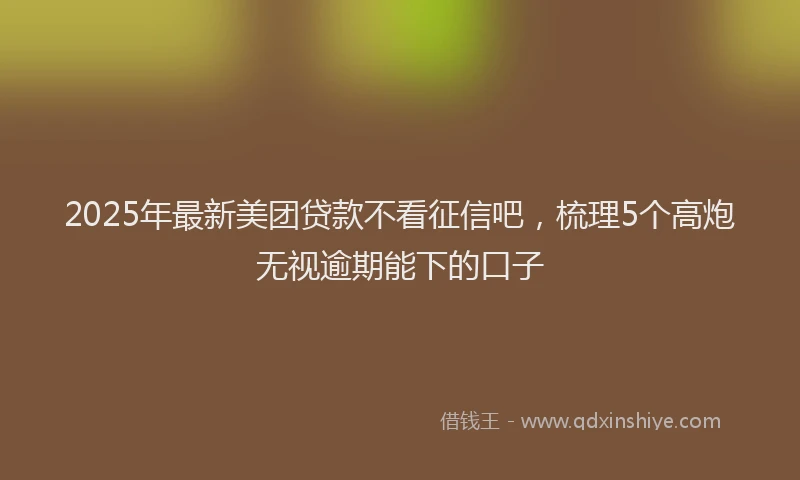 2025年最新美团贷款不看征信吧，梳理5个高炮无视逾期能下的口子