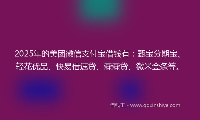 2025年的美团微信支付宝借钱有：甄宝分期宝、轻花优品、快易借速贷、森森贷、微米金条等。