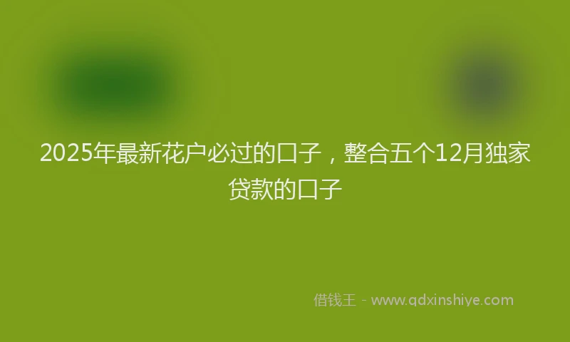 2025年最新花户必过的口子，整合五个12月独家贷款的口子