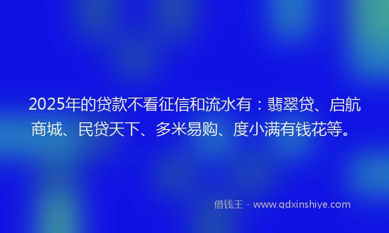 2025年的贷款不看征信和流水有：翡翠贷、启航商城、民贷天下、多米易购、度小满有钱花等。