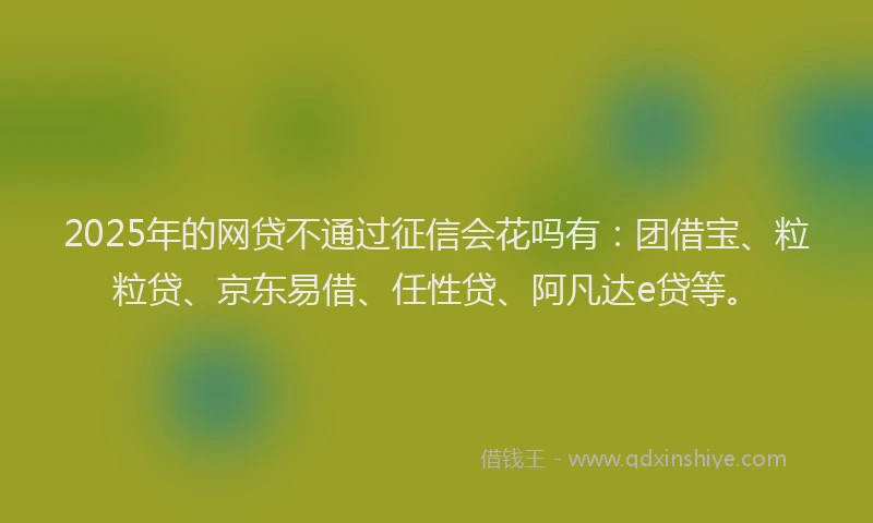 2025年的网贷不通过征信会花吗有：团借宝、粒粒贷、京东易借、任性贷、阿凡达e贷等。