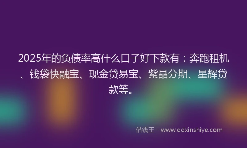 2025年的负债率高什么口子好下款有：奔跑租机、钱袋快融宝、现金贷易宝、紫晶分期、星辉贷款等。
