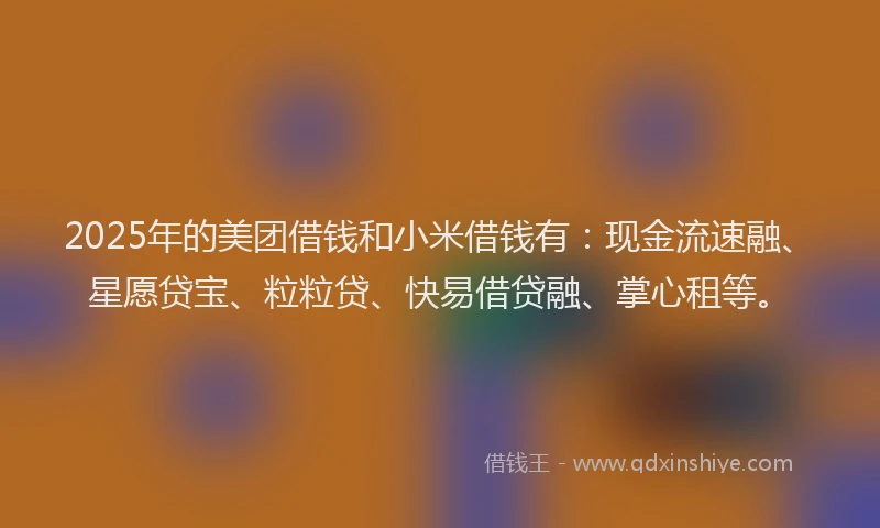 2025年的美团借钱和小米借钱有：现金流速融、星愿贷宝、粒粒贷、快易借贷融、掌心租等。