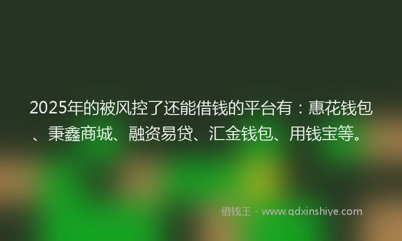 2025年的被风控了还能借钱的平台有：惠花钱包、秉鑫商城、融资易贷、汇金钱包、用钱宝等。