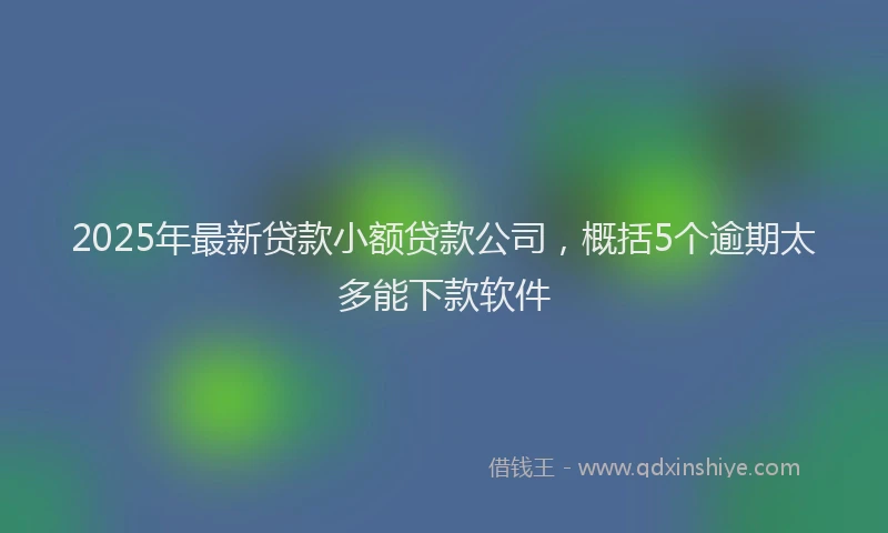 2025年最新贷款小额贷款公司，概括5个逾期太多能下款软件