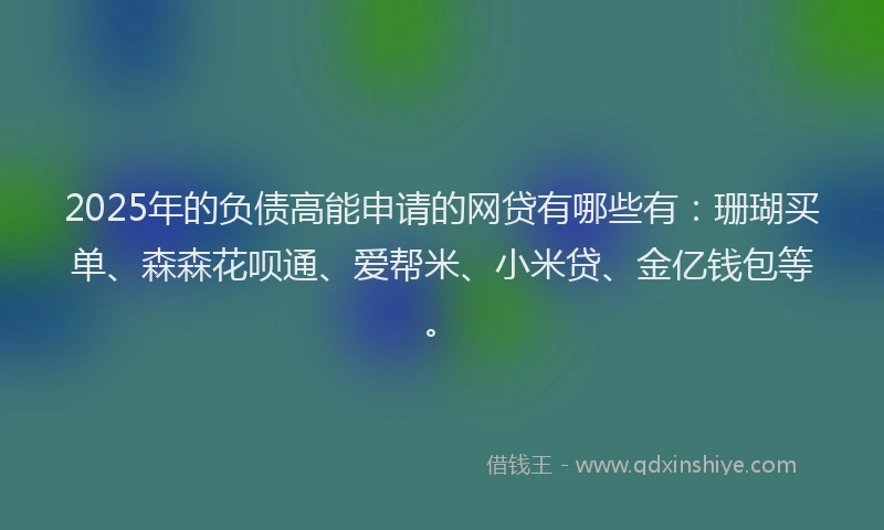 2025年的负债高能申请的网贷有哪些有：珊瑚买单、森森花呗通、爱帮米、小米贷、金亿钱包等。