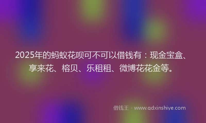 2025年的蚂蚁花呗可不可以借钱有：现金宝盒、享来花、榕贝、乐租租、微博花花金等。