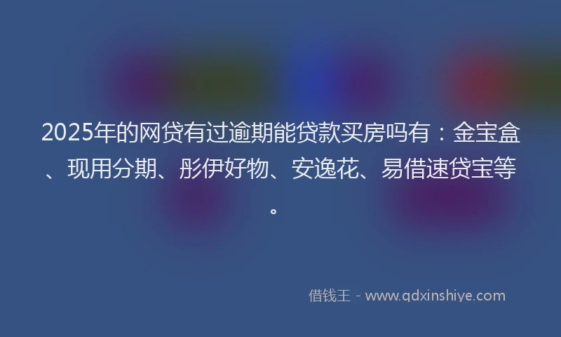 2025年的网贷有过逾期能贷款买房吗有：金宝盒、现用分期、彤伊好物、安逸花、易借速贷宝等。