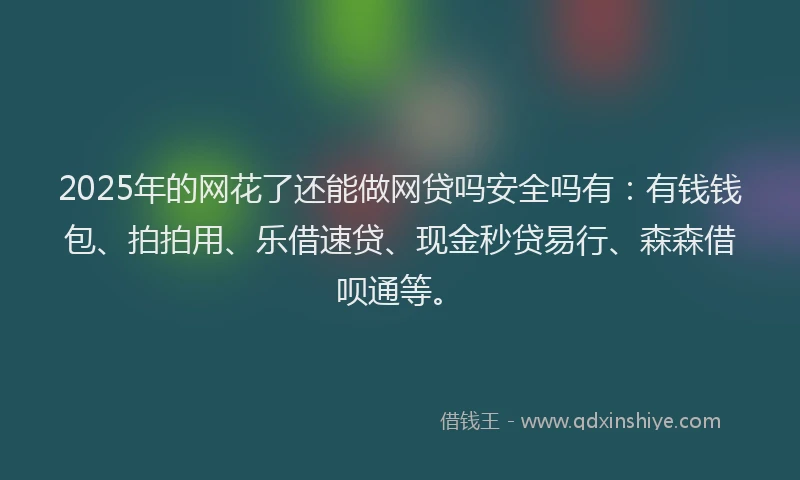 2025年的网花了还能做网贷吗安全吗有：有钱钱包、拍拍用、乐借速贷、现金秒贷易行、森森借呗通等。