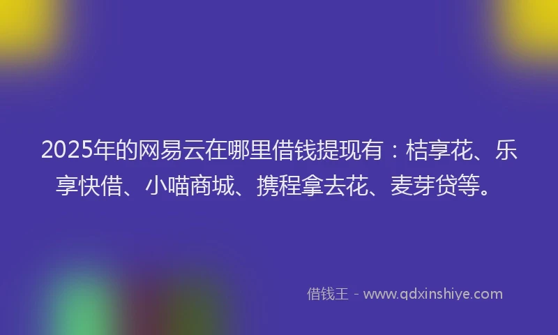 2025年的网易云在哪里借钱提现有：桔享花、乐享快借、小喵商城、携程拿去花、麦芽贷等。