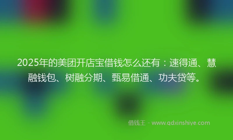 2025年的美团开店宝借钱怎么还有：速得通、慧融钱包、树融分期、甄易借通、功夫贷等。