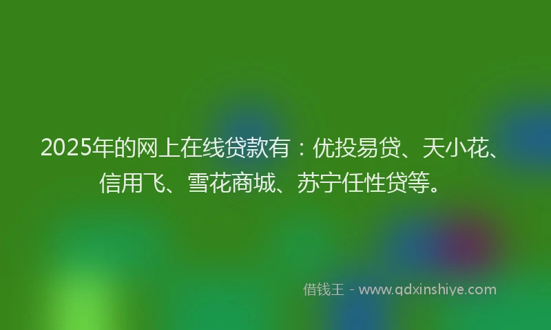 2025年的网上在线贷款有：优投易贷、天小花、信用飞、雪花商城、苏宁任性贷等。