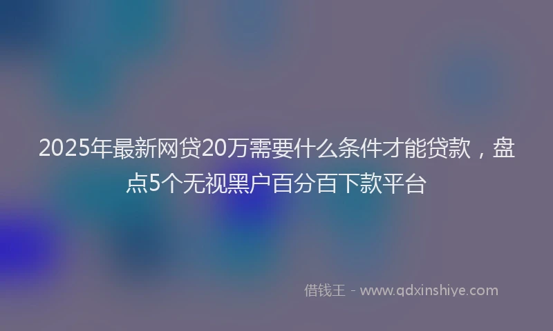 2025年最新网贷20万需要什么条件才能贷款，盘点5个无视黑户百分百下款平台