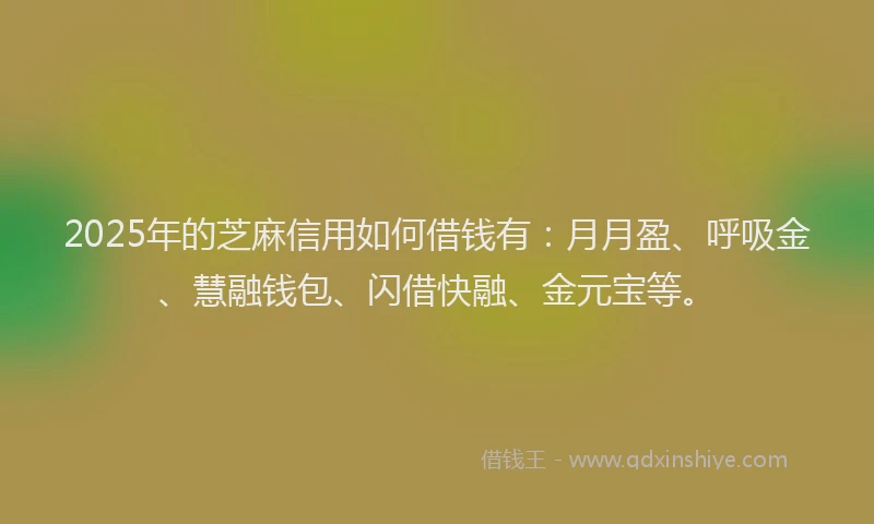 2025年的芝麻信用如何借钱有：月月盈、呼吸金、慧融钱包、闪借快融、金元宝等。