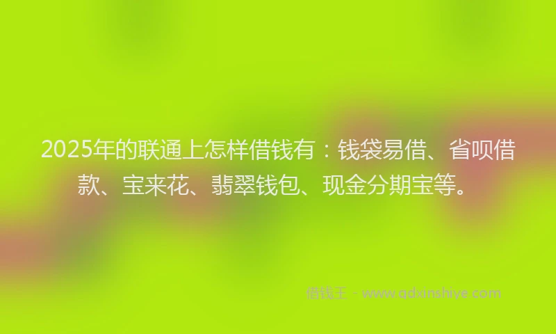 2025年的联通上怎样借钱有：钱袋易借、省呗借款、宝来花、翡翠钱包、现金分期宝等。