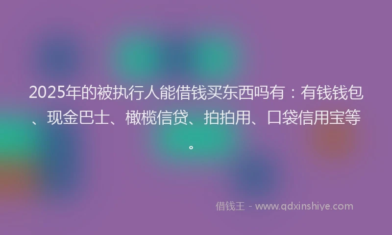 2025年的被执行人能借钱买东西吗有：有钱钱包、现金巴士、橄榄信贷、拍拍用、口袋信用宝等。