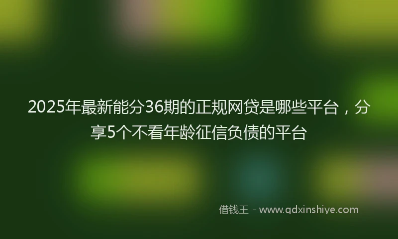 2025年最新能分36期的正规网贷是哪些平台，分享5个不看年龄征信负债的平台