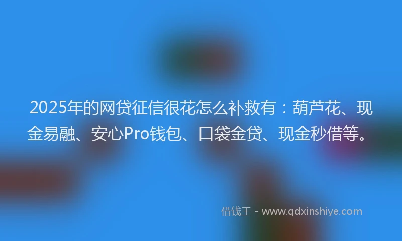 2025年的网贷征信很花怎么补救有：葫芦花、现金易融、安心Pro钱包、口袋金贷、现金秒借等。