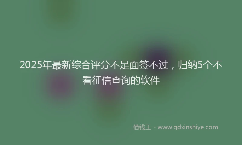 2025年最新综合评分不足面签不过，归纳5个不看征信查询的软件
