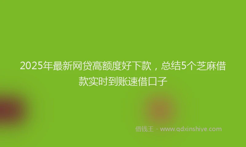 2025年最新网贷高额度好下款，总结5个芝麻借款实时到账速借口子