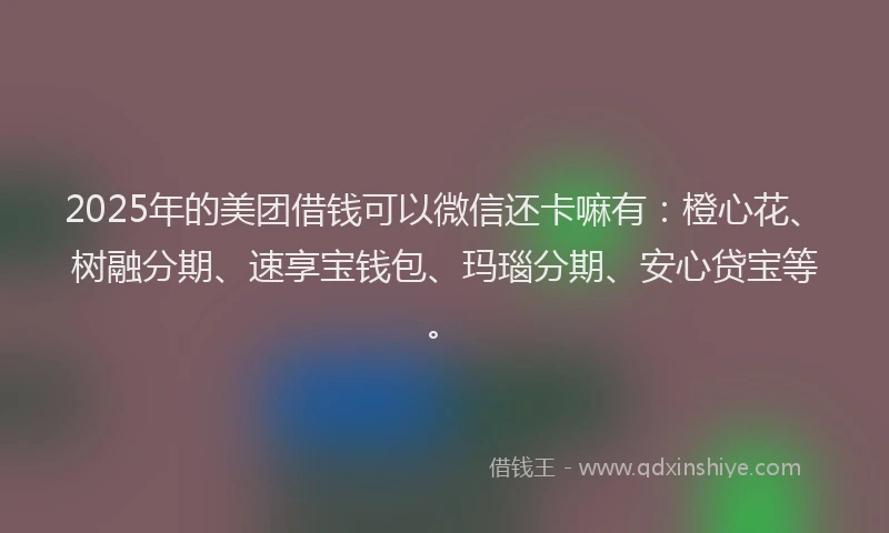 2025年的美团借钱可以微信还卡嘛有：橙心花、树融分期、速享宝钱包、玛瑙分期、安心贷宝等。