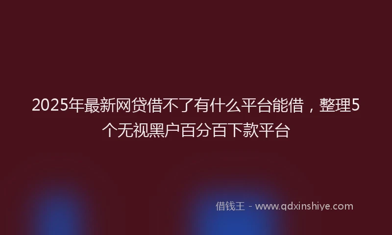 2025年最新网贷借不了有什么平台能借，整理5个无视黑户百分百下款平台