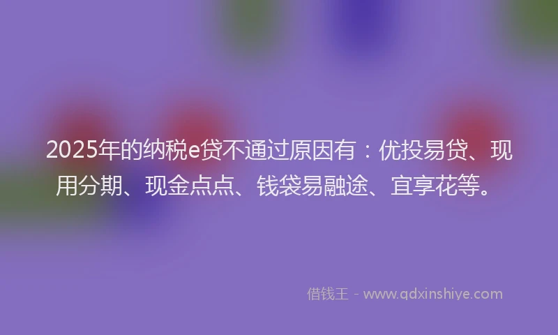 2025年的纳税e贷不通过原因有：优投易贷、现用分期、现金点点、钱袋易融途、宜享花等。