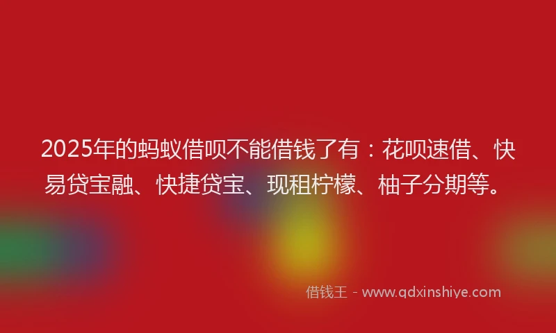2025年的蚂蚁借呗不能借钱了有：花呗速借、快易贷宝融、快捷贷宝、现租柠檬、柚子分期等。