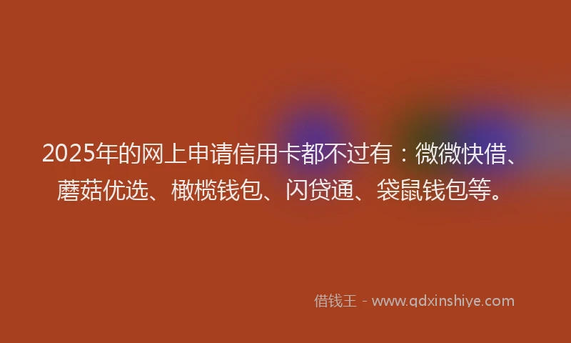 2025年的网上申请信用卡都不过有：微微快借、蘑菇优选、橄榄钱包、闪贷通、袋鼠钱包等。