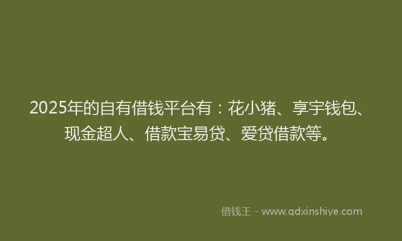 2025年的自有借钱平台有：花小猪、享宇钱包、现金超人、借款宝易贷、爱贷借款等。