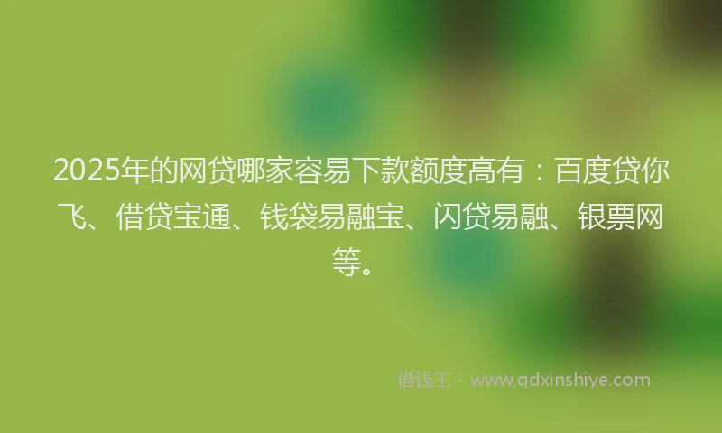 2025年的网贷哪家容易下款额度高有：百度贷你飞、借贷宝通、钱袋易融宝、闪贷易融、银票网等。