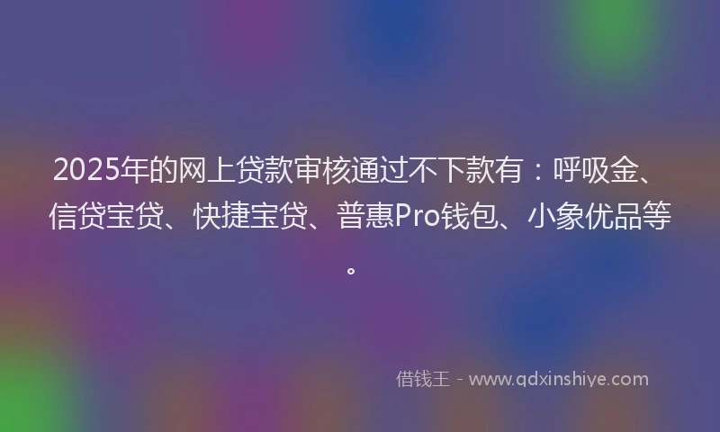 2025年的网上贷款审核通过不下款有：呼吸金、信贷宝贷、快捷宝贷、普惠Pro钱包、小象优品等。