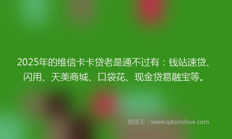 2025年的维信卡卡贷老是通不过有：钱站速贷、闪用、天美商城、口袋花、现金贷易融宝等。